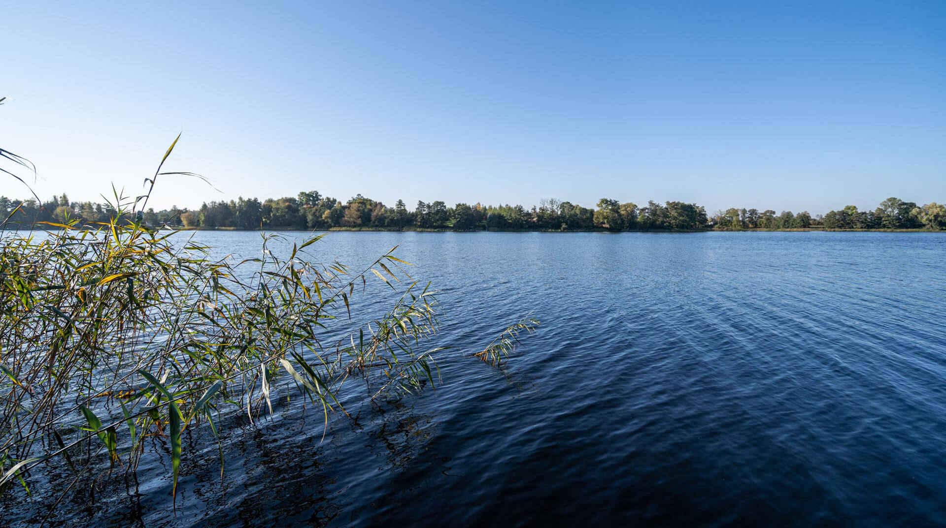 Skontaktuj się w sprawie działki